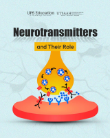 Neurotransmitters and Their Role.pdf